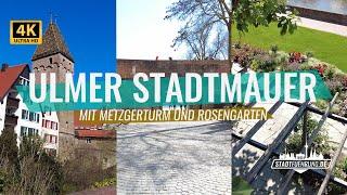 Ulm City Wall with rose garden and butcher's tower | Sight presented by Stadtfuehrung.de