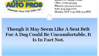 Auto Repair Mechanic West Des Moines | Three Reasons to Consider a Seat Belt for Your Dog