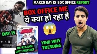 Marco Movie Day 15 Box Office Collection | Ye Jawani Hai Deewani Re Release Box Office Report #Marco