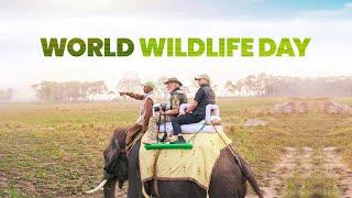 On World Wildlife Day, best wishes to wildlife lovers and conservationists