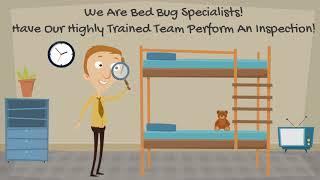 Bed Bug Exterminator NYC