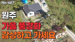 [원주편] 가을 풍경화 감상하고 가세요