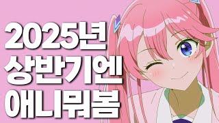 [덕플러스] 2025년 상반기 애니 추천
