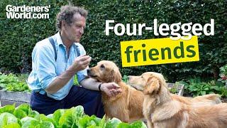 Monty Don on Nigel, Nell and other four-legged friends