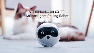 Rollbot