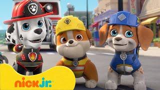 Rubble & Crew | La PAW Patrol incontra il gruppo! | Nick Jr. Italia