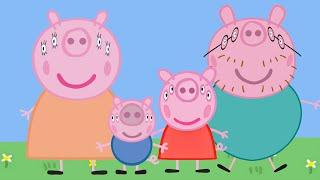 Front view of Peppa Pig Family