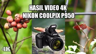 VIDEO 4K NIKON COOLPIX P950