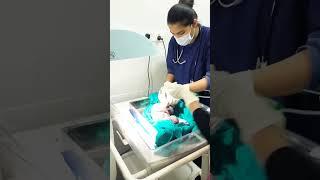 Caring for newborn baby immediately after delivery care of Newborn baby#short #nursing