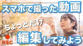 【動画編集】スマホで撮影した動画の編集に挑戦してみよう！グーグルフォトやインショットの使い方