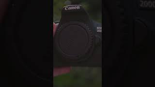 How Many AF Points Do They Have? Canon Rebel T5 (1200D) vs Rebel T7 (2000D)