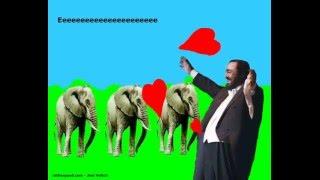 Pavarotti Loves Elephants!