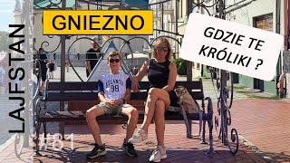 Gniezno, katedra, dron, film, króliki - co warto zobaczyć ! blog podróżniczy, wycieczki objazdowe