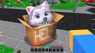 ENCONTRAMOS A BABY EVEREST DE PAW PATROL EN LA CIUDAD DE MINECRAFT 