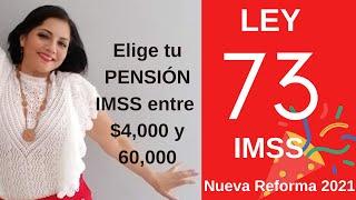 LEY 73, Modalidad 40. Elige tu PENSIÓN IMSS entre $4,000 y $60,000