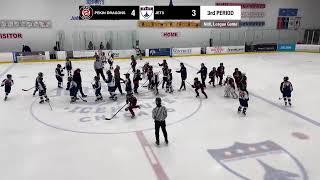 Pekin Dragons @ Chicago Jets A3 - 2/1/2025