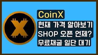 CoinX 현재 가격 알아보고 SHOP 오픈은 언제?