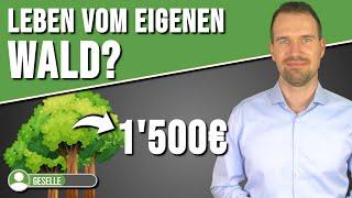 Wald als Geldanlage: 4 Wege, in Wald zu investieren | Waldinvestments, Alternative Investments