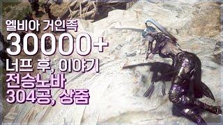 엘비아 거인족이 너프되었습니다. 30000+ 전승노바 304공, Primal Giant Post Update, Succesion NOVA 1h Lv.2