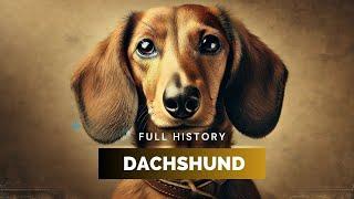 Dachshund - Full History