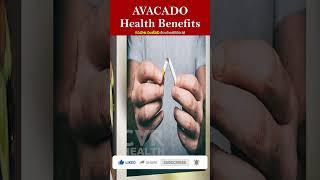 Health Benefits Of Avacado | #sahajasanjeevani | #cvrhealthforall | #healthtips | #cvrhealth