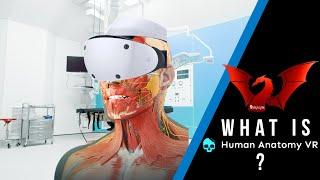 This is Human Anatomy VR - Review