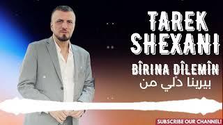 طارق شيخاني بيرنا دلي من Tarek Shexani Bîrina Dîlemin #اغاني #اكسبلور #music #remix