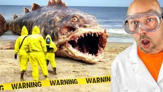 CRAZIEST Things Found in The OCEAN