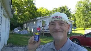 HOW TO KILL WASPS AND HORNETS WITH WD-40! #pestcontrol #wasp #wasps #hornet #hornets #bees #lifehack