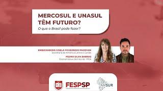 MERCOSUL E UNASUL TÊM FUTURO?  O que o Brasil pode fazer?