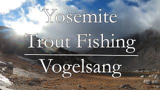 Yosemite Backpacking & Trout Fishing Vogelsang High Sierra Camp 2021 Fly Fishing