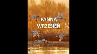 TAROT # PANNA # WRZESIEŃ 2024