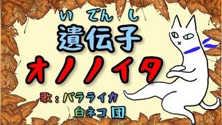 遺伝子オノノイタ（カピ子の『みんなのうた』より）　【歌；バラライカ白ネコ団】