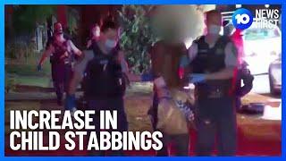 Sydney Easter Show Stabbing Video Appeal | 10 News First