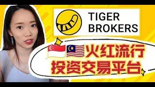 【老虎證券】新加坡 馬來西亞都能入手Tiger Trade安全嗎？開戶入金福利值得嗎? Is Tiger Trade safe?