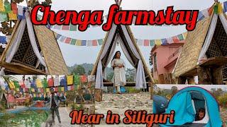 Chenga farmstay || Near in Siliguri  #chengafarmstay  panighata dhudhia homestay chenga #naxalbari