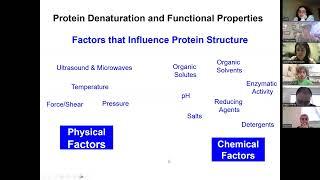 Food Proteins Lect 7 March 5 2025