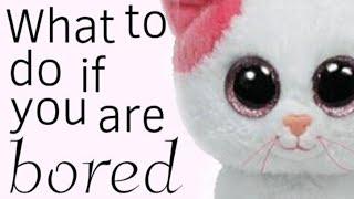 6 things you can do with your beanie boos if you're bored!