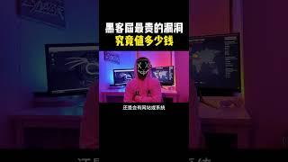 黑客挖过最贵的漏洞值多少钱？#hacker #cybersecurity #computer #hackerfreefire #黑客 #网络安全 #计算机 #程序员