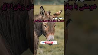 داستان واقعی :،دوستی با بهلول و راز فهمیدن زبان الاغ#shorts