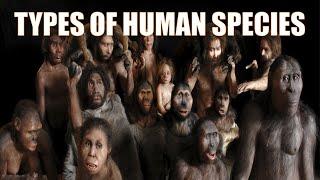 14 Different Types of Human Species | Explained