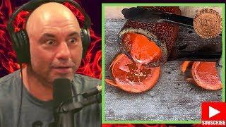 Copper Casting a Joe Rogan Medallion The Joe Rogan Experience Copper Medallion | melting stuff