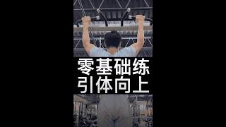 零基础练引体上升｜Oasis Fitness｜满满的干货