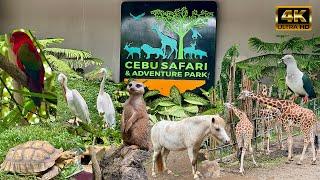 Philippines' Largest Zoological Park - CEBU Safari & Adventure Park | Carmen CEBU