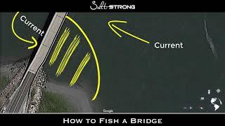 Bridge Fishing: Best Baits, Spots & More