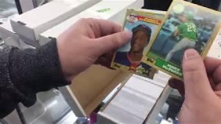 BARGAIN HUNTING FOR SPORTS CARDS AT GOODWILL | SURPRISING ROOKIE CARD FINDS | BARGAIN HUNTER EP. 1