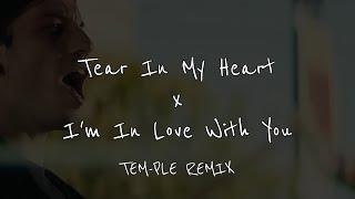 Tear In My Heart x I'm In Love With You TEM-PLE REMIX