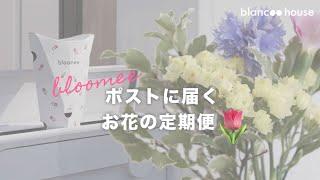 お花の定期便ブルーミー【bloomee】を1年ほど愛用中！ポストに届いて便利です