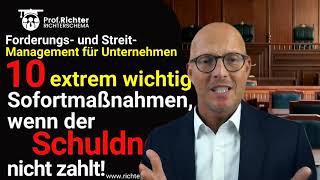 ⭐Forderungsmanagement braucht diesen Notfallplan: wenn Schuldner nicht zahlen! Prof. Richter 259-2