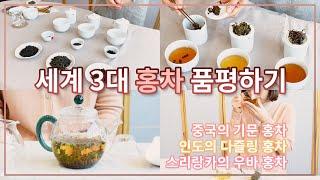 #언택트품평회 세계 3대 홍차 품평회, 품평배 사용 방법 꿀팁 방출(tea tasting) ｜차예마을TV